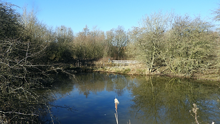 Rossett Local Nature Reserve