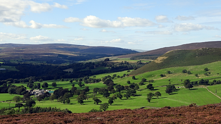 Barden Moor and Bolton Country Park