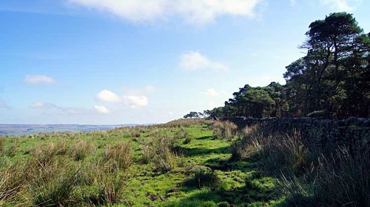 View to Windgate Nick