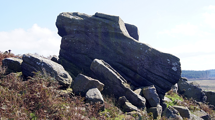 Dog Stone on Addingham High Moor