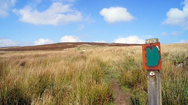 The way back to Black Hill