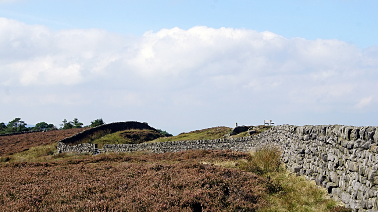 Drystone wall near Black Hill