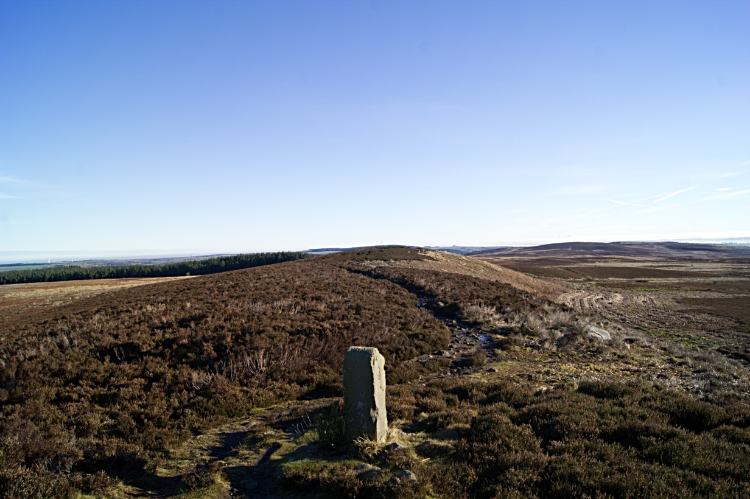 The path leading to Gawk Hall Gate