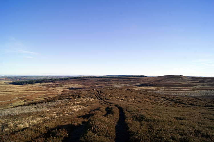 The way across Sug Marsh