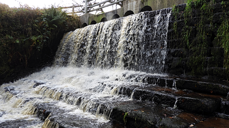 Weir on Capelshaw Beck