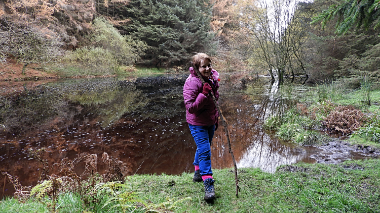 Pretty stretch of the River Washburn