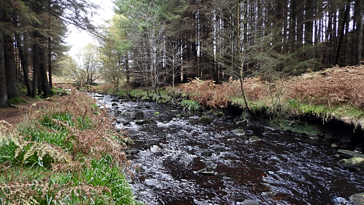 Pretty stretch of the River Washburn