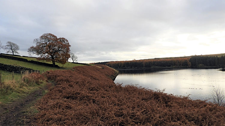 The reservoir path near North Corner Farm