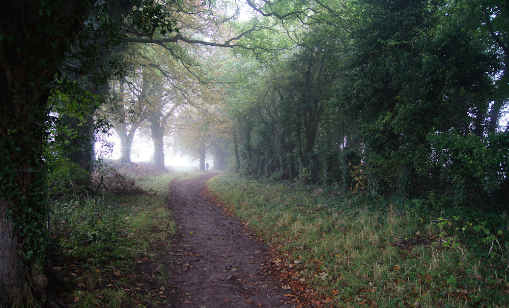 On the Ridgeway at Bald Hill