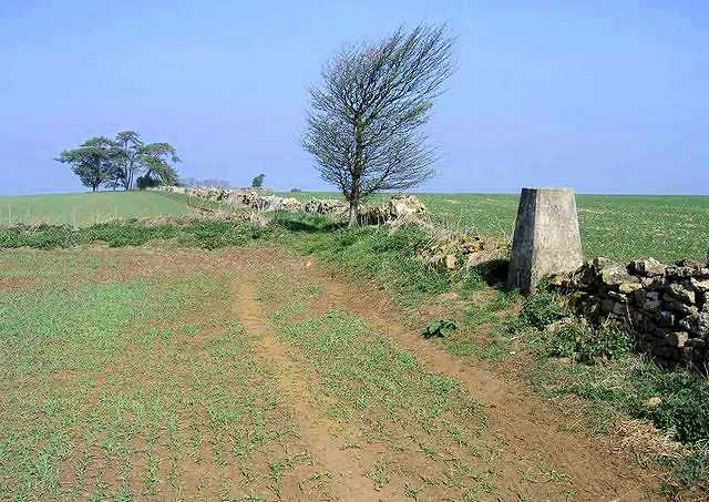 Warwickshire's county top