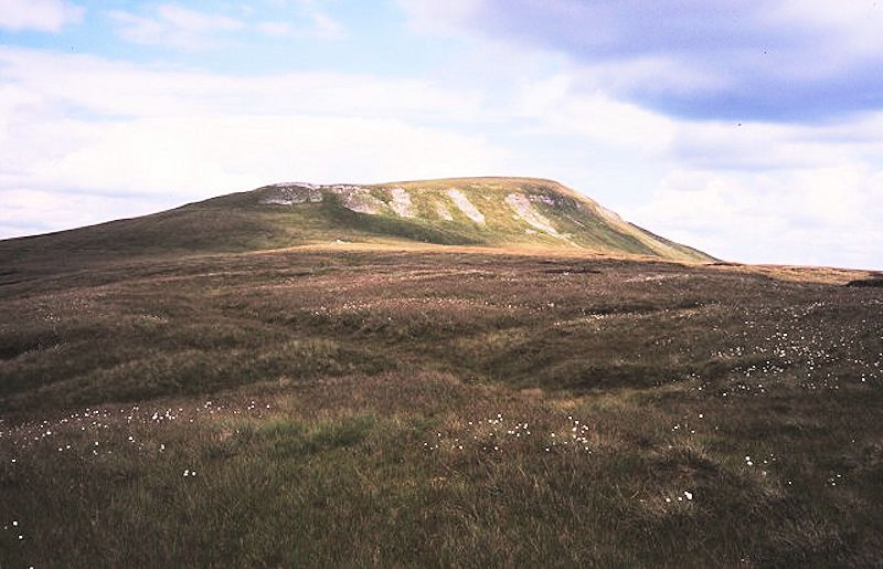 Mickle Fell