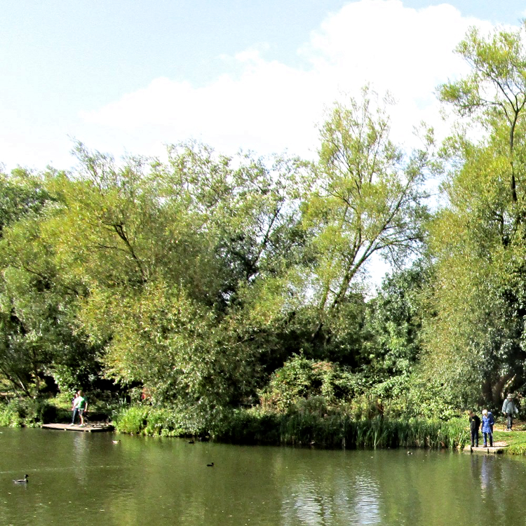 Codnor Park Reservoir