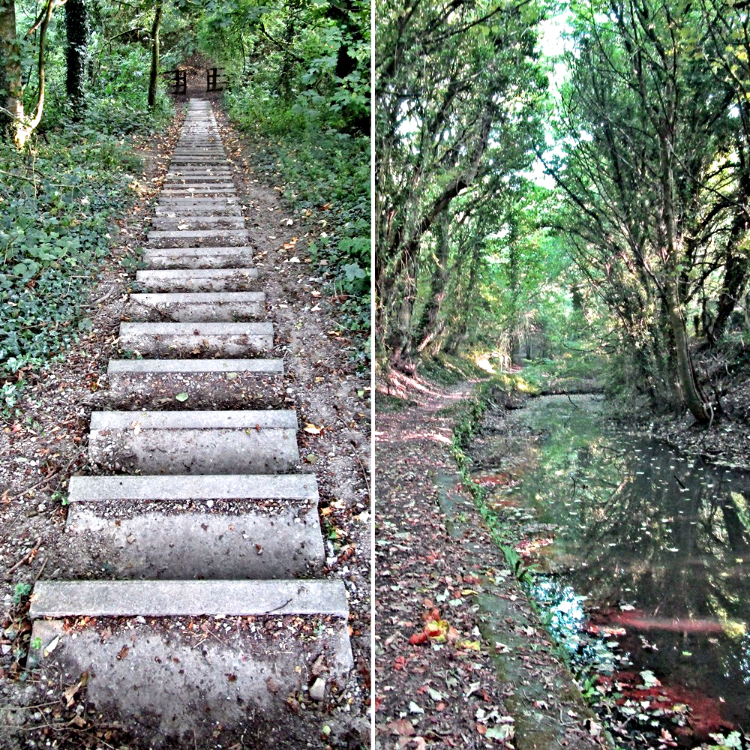 Steps taking the footpath across the road