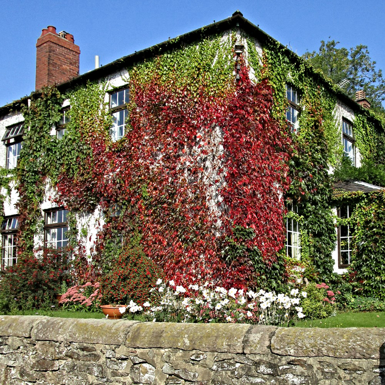 Autumn at Lodge Hill Farm