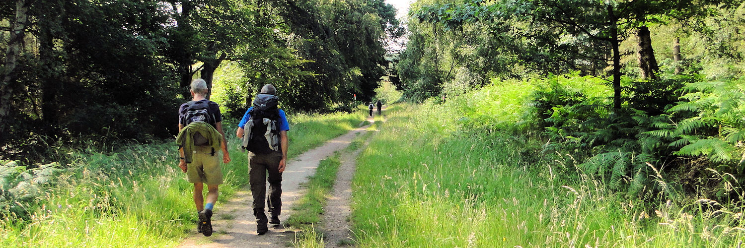 Cannock Chase