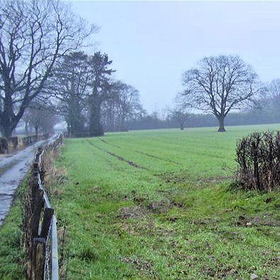 Landscape on a dull winter day