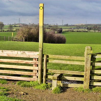 Galloping fields