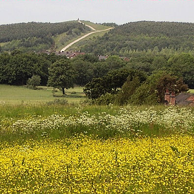 The greening of a former spoil heap
