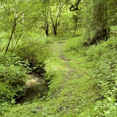 A tranquil path if you ignore the traffic on the M1