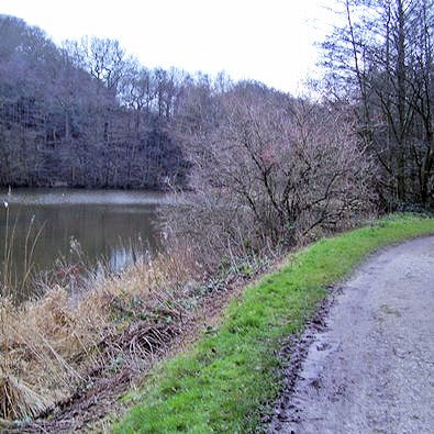 Deep Hayes Country Park