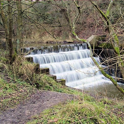 Waterfall connecting the ponds