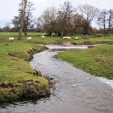 Gayton Brook