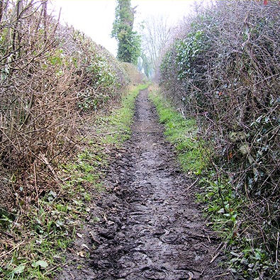 A narrow bridleway