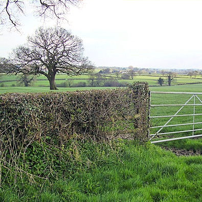 Views from the quiet lane at Lea Green