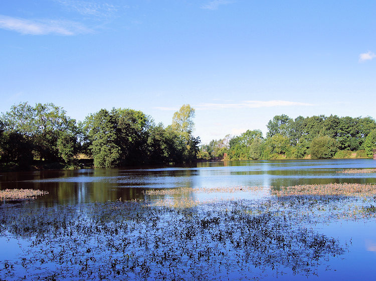 Reservoir near Lawrence's Hill