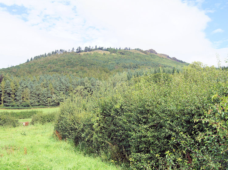 Last open view of the climb of the Wrekin ahead of us