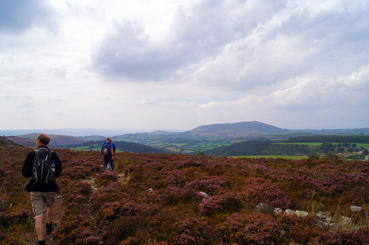 Super View to Corndon Hill