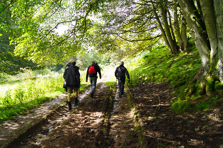 Woolers Wood