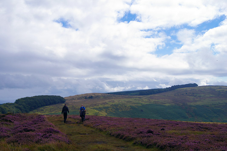 Walking from Brown Clee Hill to Clee Burf