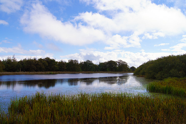 Boyne Water