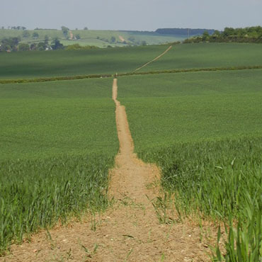 Footpath to Allexton