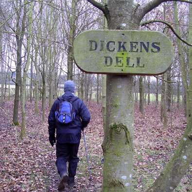 Woodland near Dalby Brook