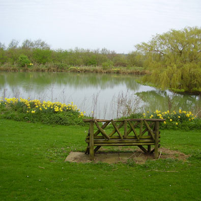 Pond at Bleak House