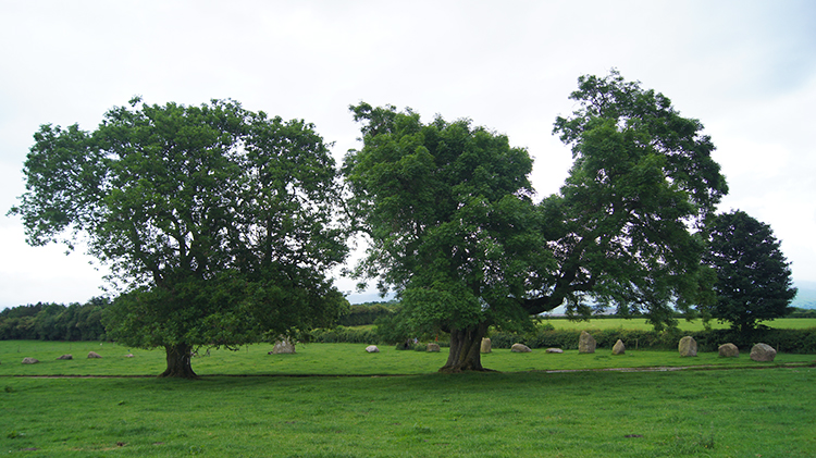 Impressive Oak Trees inside the circle