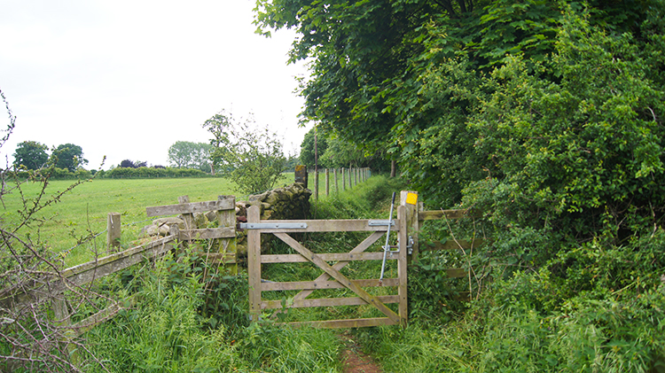 Path leading to Little Meg