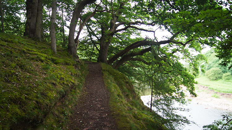 High path beside the river