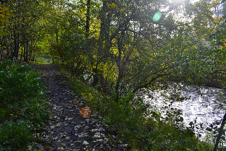 Following the River Greta upstream from Bowes