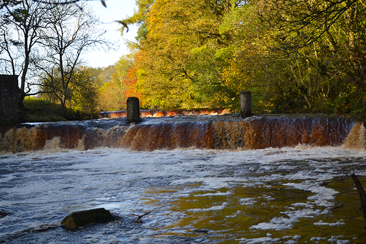 Weir on the River Greta at Swinholme