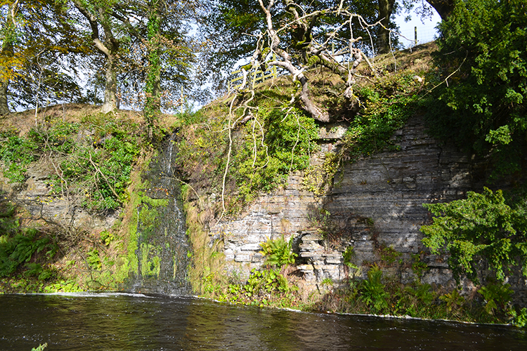 Rove Gill trickles into the Greta