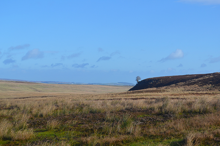 Spanham Scar