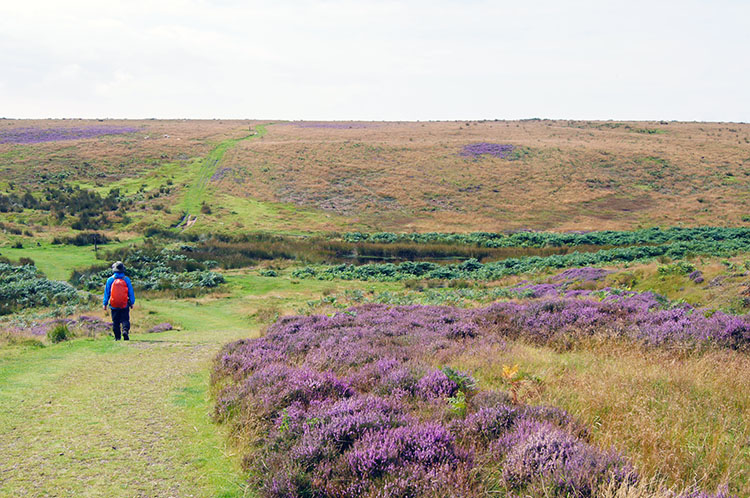 Dundale Rigg