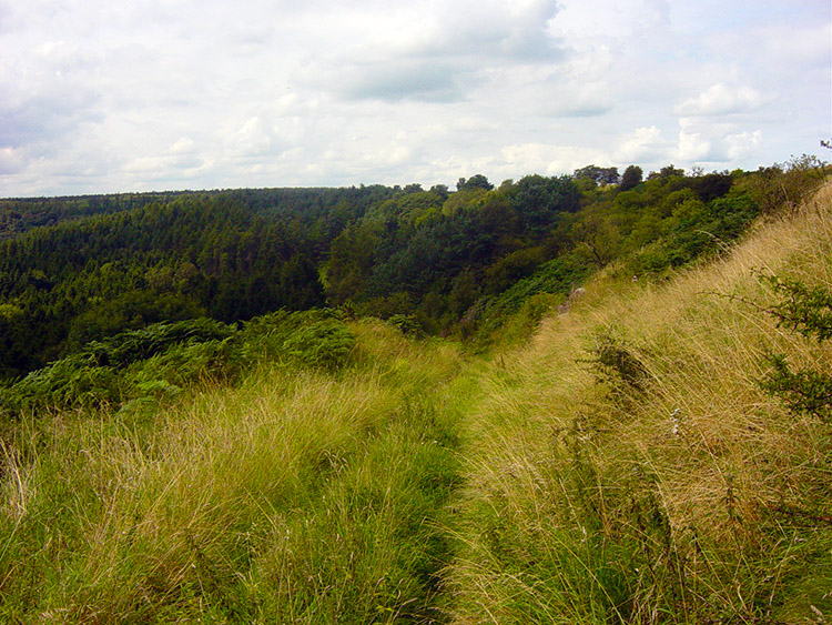 Crossing Byland Moor