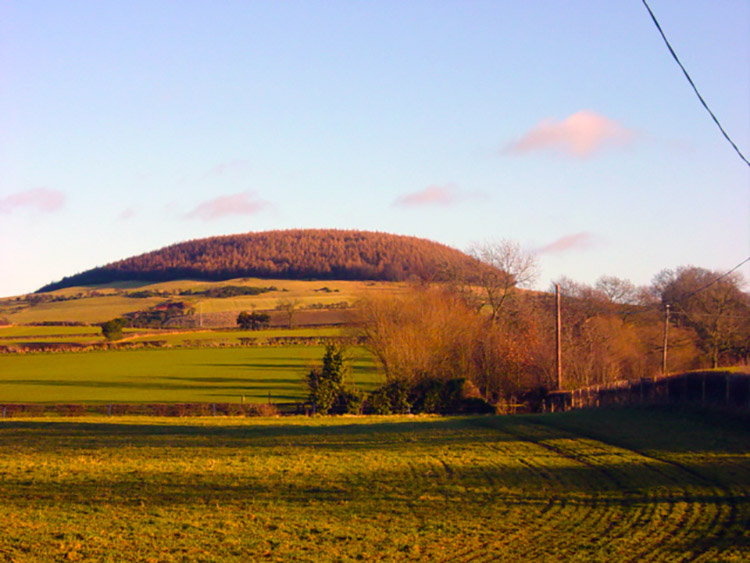 Whorl Hill