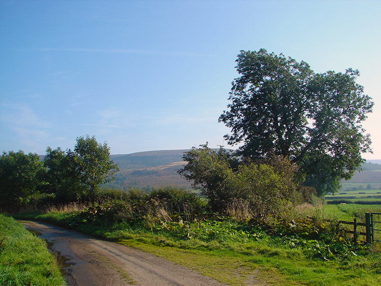 Moor Lane, Nether Silton