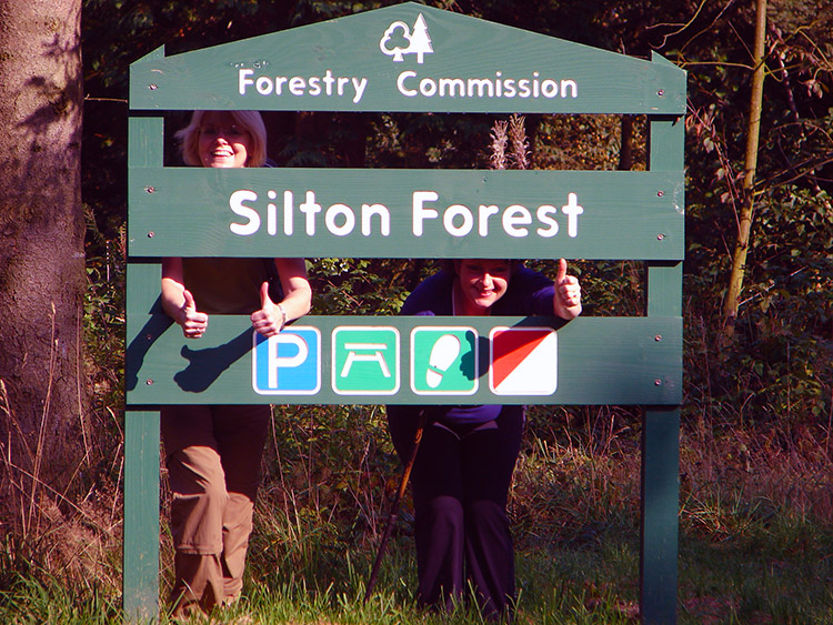 Leena and Lil frolic in Silton Forest