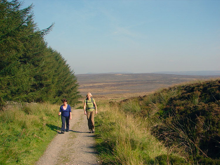 On the Cleveland Way near Black Hambleton